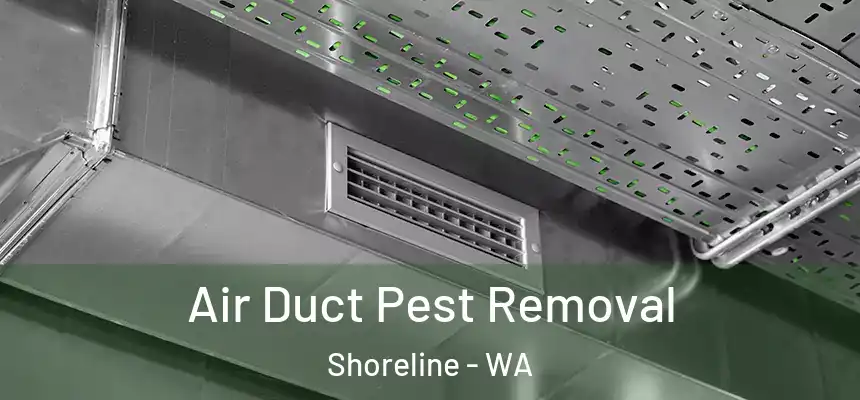  Air Duct Pest Removal Shoreline - WA