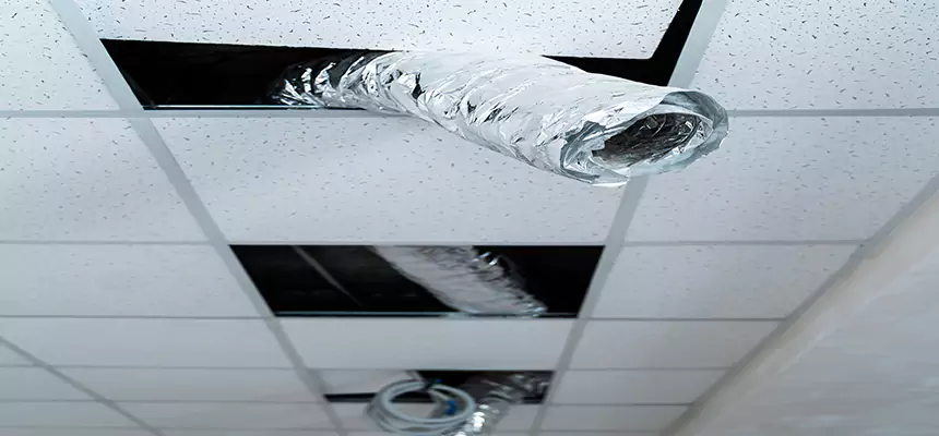 Our Air Duct Pet Hair Removal Services in Shoreline, WA