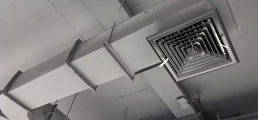 Restorative Allergy Relief Vent Cleaning – Coil, Blower & Housing Detail in Shoreline