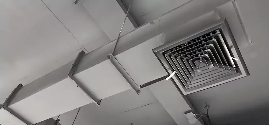 Our Rodent Droppings In Vents Services in Shoreline, WA