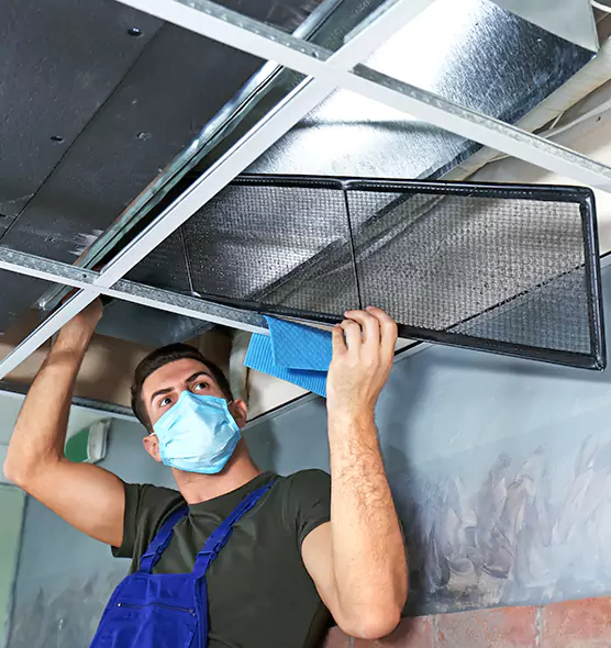 About Air Duct Bacteria Removal in Shoreline