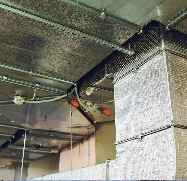 Why Homeowners & Businesses Trust Us in Shoreline, WA?