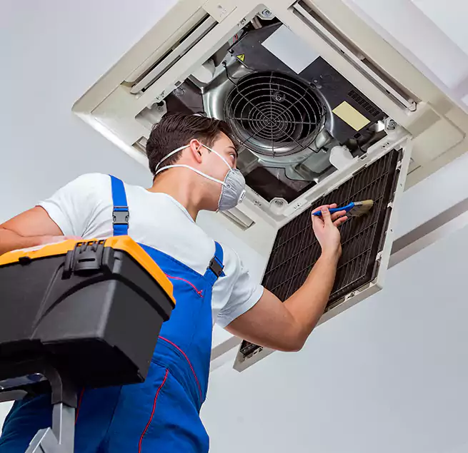 Why Homeowners & Businesses Trust Us in Shoreline, WA