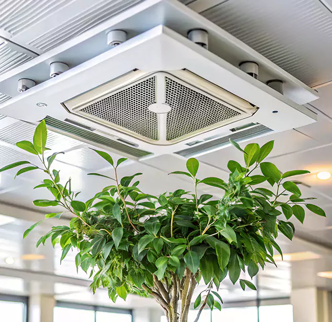 Why Homeowners & Businesses Trust Us in Shoreline, WA?