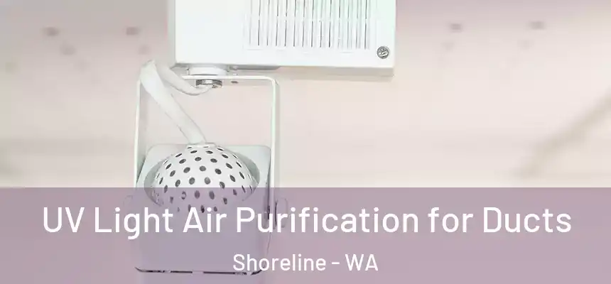  UV Light Air Purification for Ducts Shoreline - WA